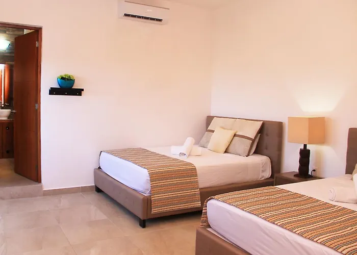 Xell Suites & 3*